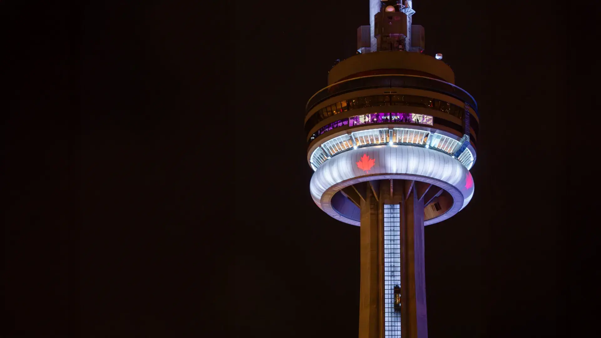 Vue de la Tour CN éclairée de soir avec des feuilles d'érable sur son radôme