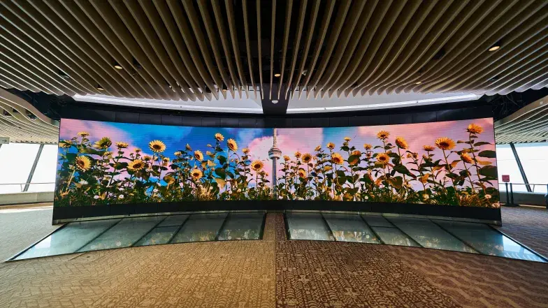 Écran numérique incurvé affichant un champ de tournesols avec la Tour CN centrée à l’arrière-plan, à l’intérieur d’un niveau d’observation moderne avec un plancher de verre et un plafond à lattes de bois.